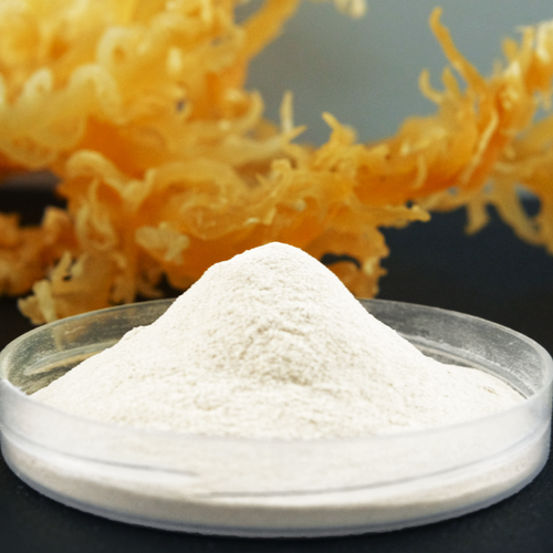 Kappa Refined Carrageenan Vegan Thickening Hydrocolloid