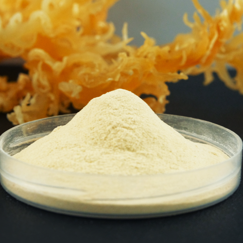 Kappa Semi Refined Carrageenan Manufacturer