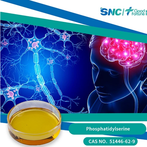 Phosphatidylserine Serine