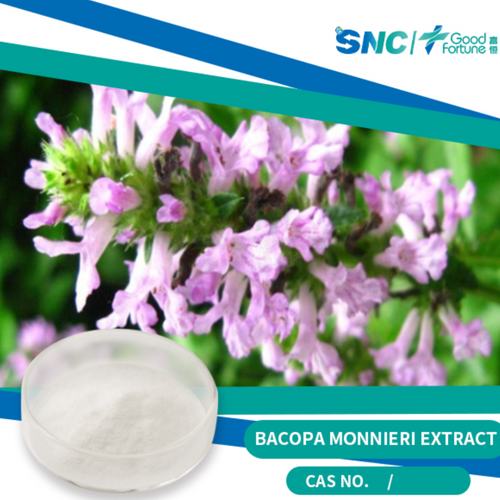Bacopa Monnieri Extract