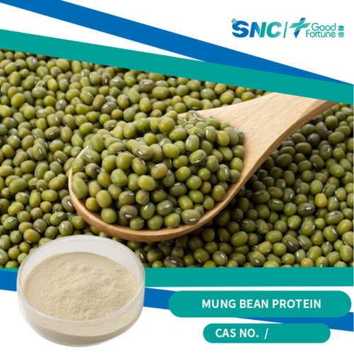 Mung Bean Protein