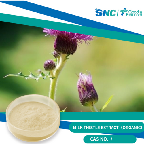 Milk Thistle Extract