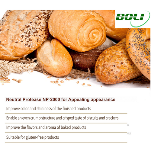 Neutral Protease NP-2000_Improves flavors and aroma, ideal for gluten-free products