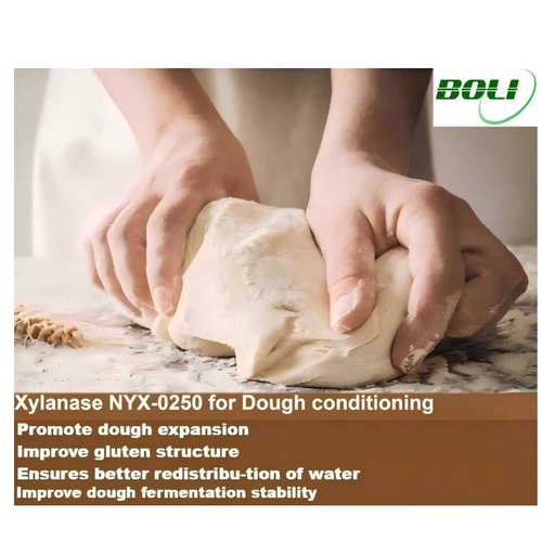Xylanase NXY-0250 for Dough Conditioning & Strengthening