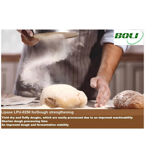 Lipase LPU-0250 for Dough Conditioning & Strengthening