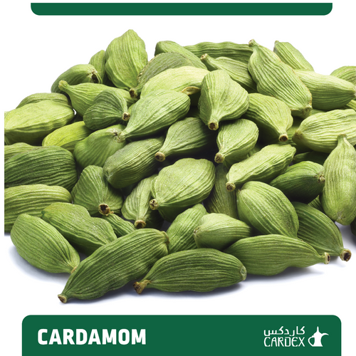 CARDAMOM