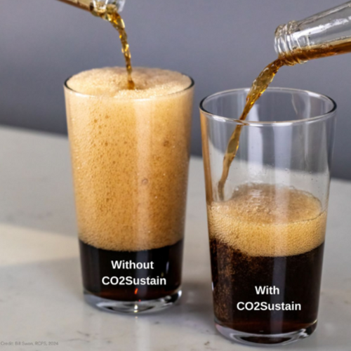 CO2Sustain