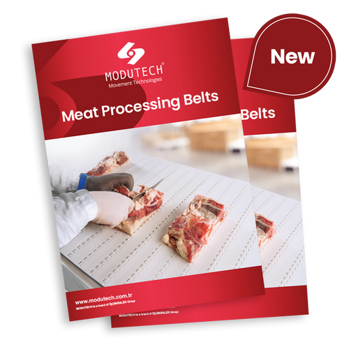 Meat Processing - Modular Belts