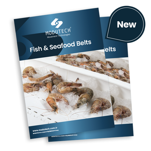 Fish and Seafood Belts