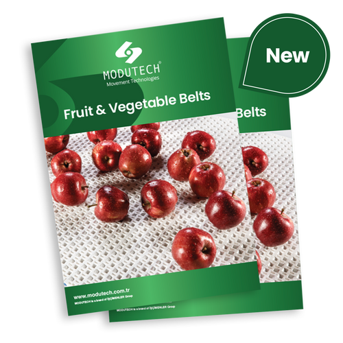 Fruit and Vegetable Processing Belts