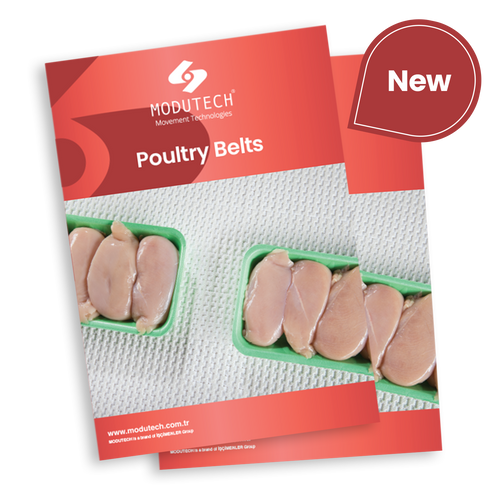 Poultry Industry - Modular Belts