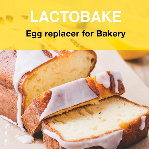 LACTOBAKE® - egg replacer for bakery