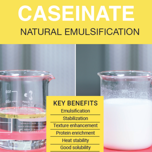 Lactonat - caseinate, highly functional milk proteins for natural emulsification