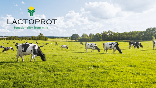 Lactoprot company brochure