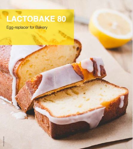 Lactobake - egg replacer for bakery