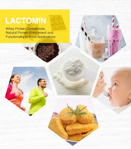 Lactomin - whey protein concentrate, natural protein enrichment and functionality in food application