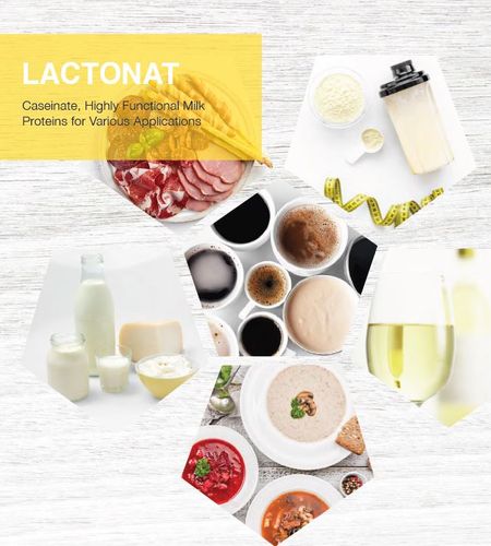 Lactonat - caseinate, highly functional milk proteins for various applications