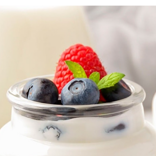 Ingredients for dairy products