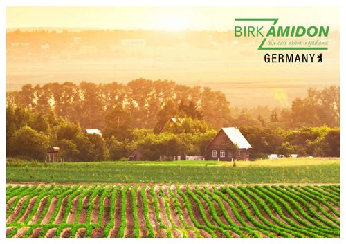 Company_Presentation