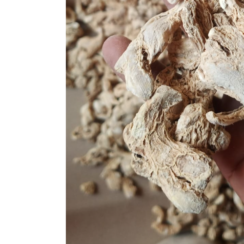 Dry Ginger