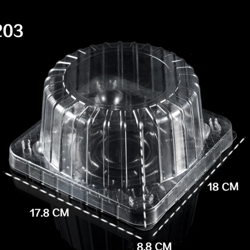 Custom Pizza Food Cake Sushi Chocolate Container Packaging Blister Box Plastic