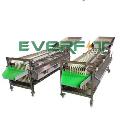 Rail-mounted date sorting machine