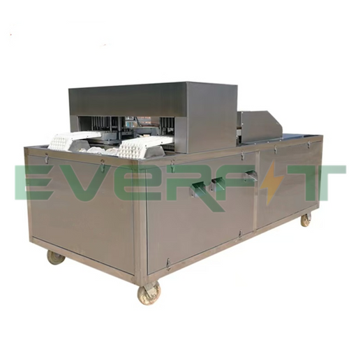 Chain Type Date Putting machin