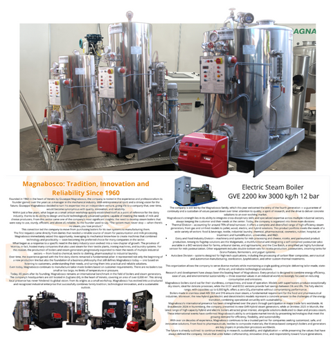 MAGNABOSCO TRADITION, INNOVATION AND RELIABILITY SINCE 1960