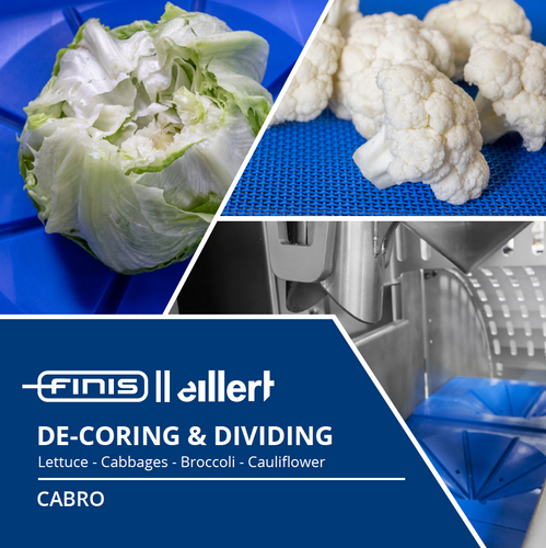 Decoring and Floretting Machine | CABRO
