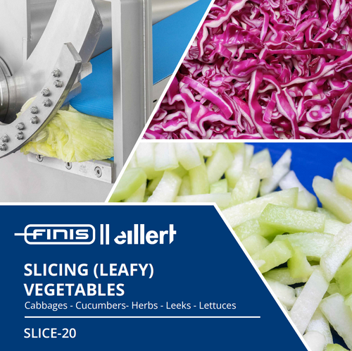 Slicing vegetables machine | SLICE-20