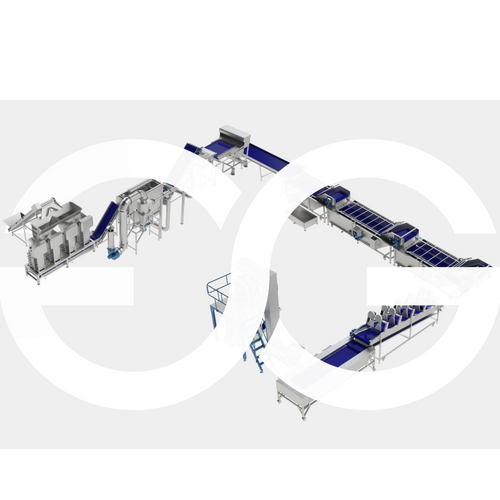 Garlic Peeling and Grading Packaging Line