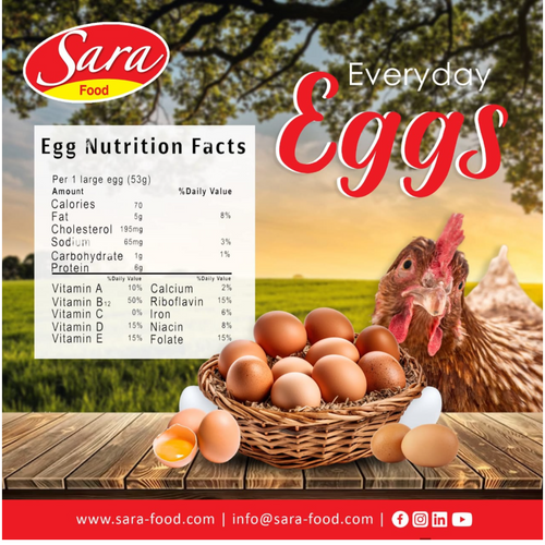 Eggs :  White and  Brown