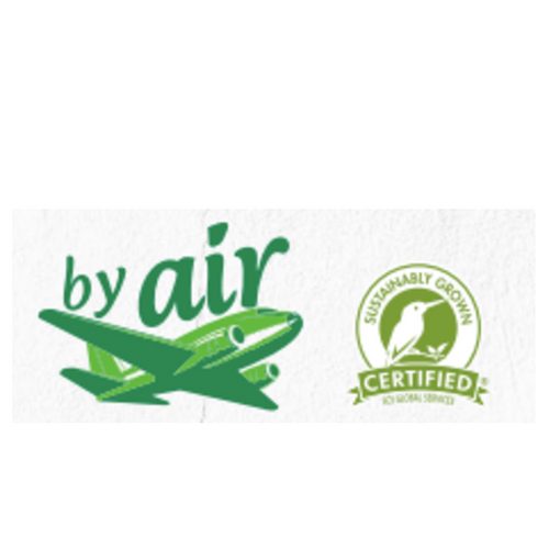 Fresh Del Monte Jet Fresh Pineapples