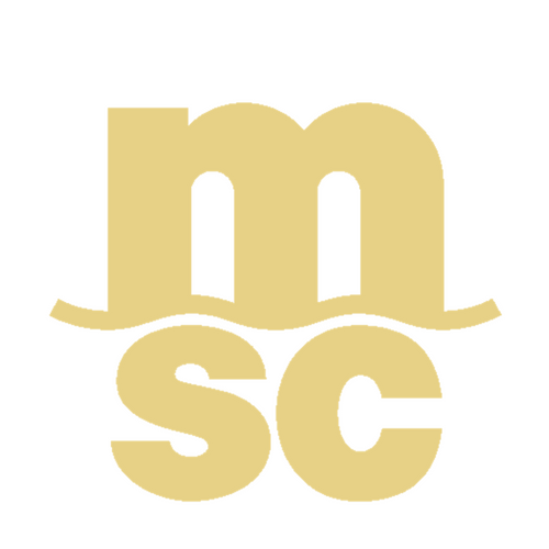 MSC Mediterranean Shipping Company