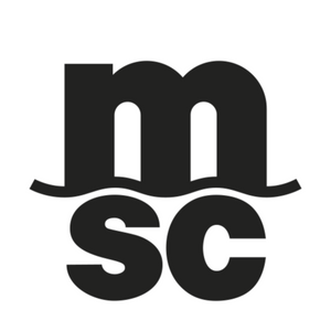 Mediterranean Shipping Company (UAE) LLC