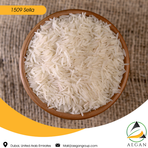 1509 Basmati Rice