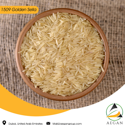 1509 Basmati Rice