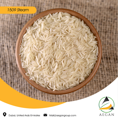 1509 Basmati Rice