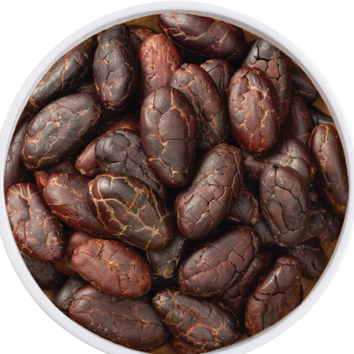 CACAO BEANS