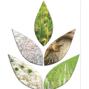 East Rice Company Pvt Ltd