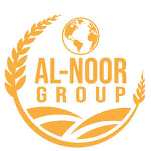 Al Noor International