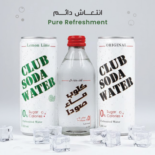 Club Soda Original Cans 250 ML