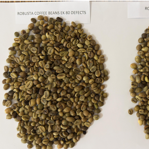 Robusta Green Coffee Beans