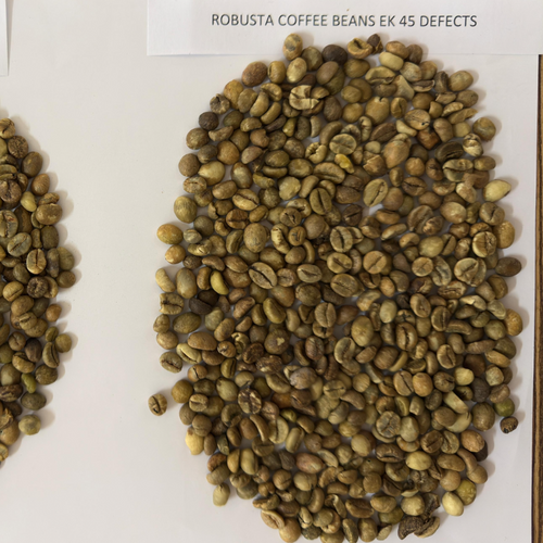 Robusta Green Coffee Beans