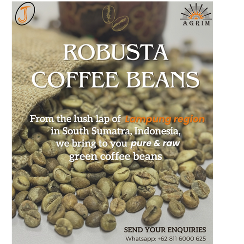Robusta Green Coffee Beans