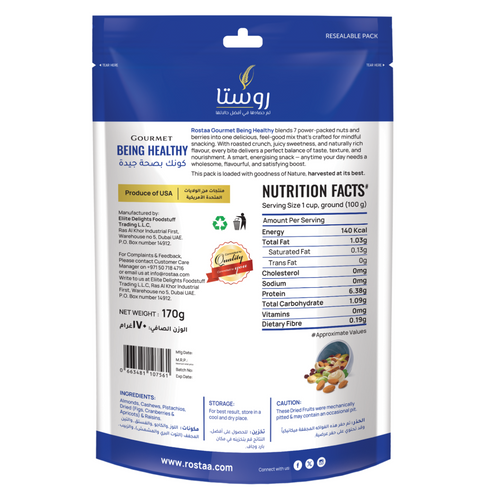 Rostaa Being Healthy 170g – Premium Nut & Berry Mix for Fitness & Wellness