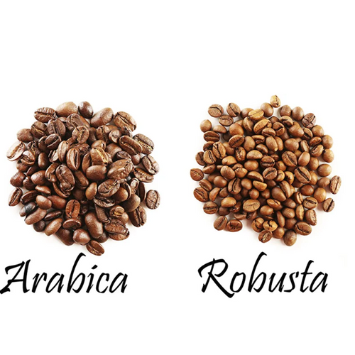 Vietnam Coffee Beans