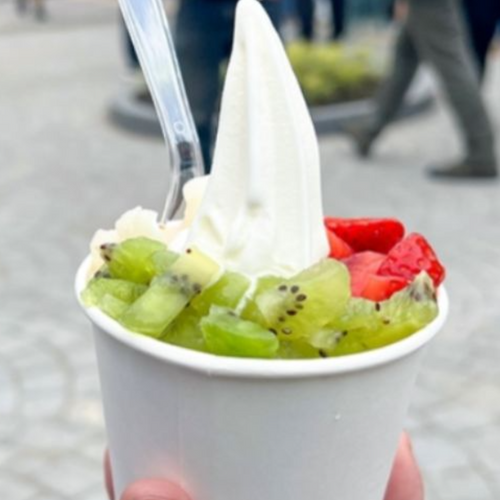 Frosty Boy YoFrost Frozen Yoghurt Mix