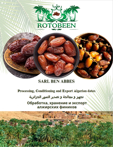 SARL BEN ABBES TRANSFORMATION ET CONDITIONNEMENT FRUITS ET LÉGUMES