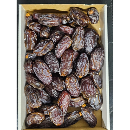 MEDJOUL CLASSIC PALESTINE